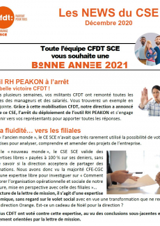 Toute l’équipe CFDT SCE vous souhaite une BONNE ANNEE 2021