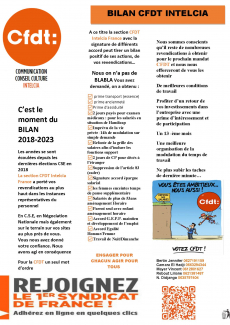 BILAN CFDT INTELCIA