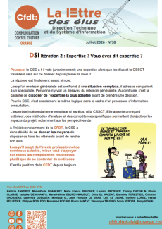 DSI Itération 2 : Expertise ? Vous avez dit expertise ?