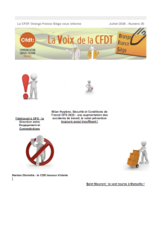 La Voix de la CFDT OFS : N°20