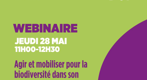 Webinaire des transitions n°34 - Agir et mobiliser pour la biodiversité dans son entreprise