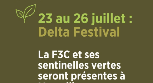 sentinelles vertes