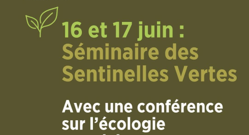 sentinelles vertes