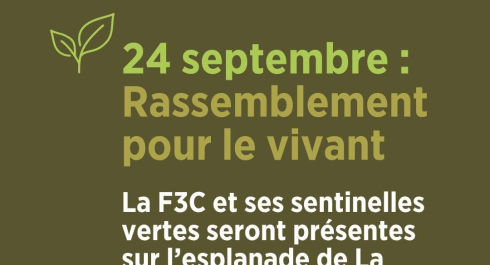 sentinelles vertes