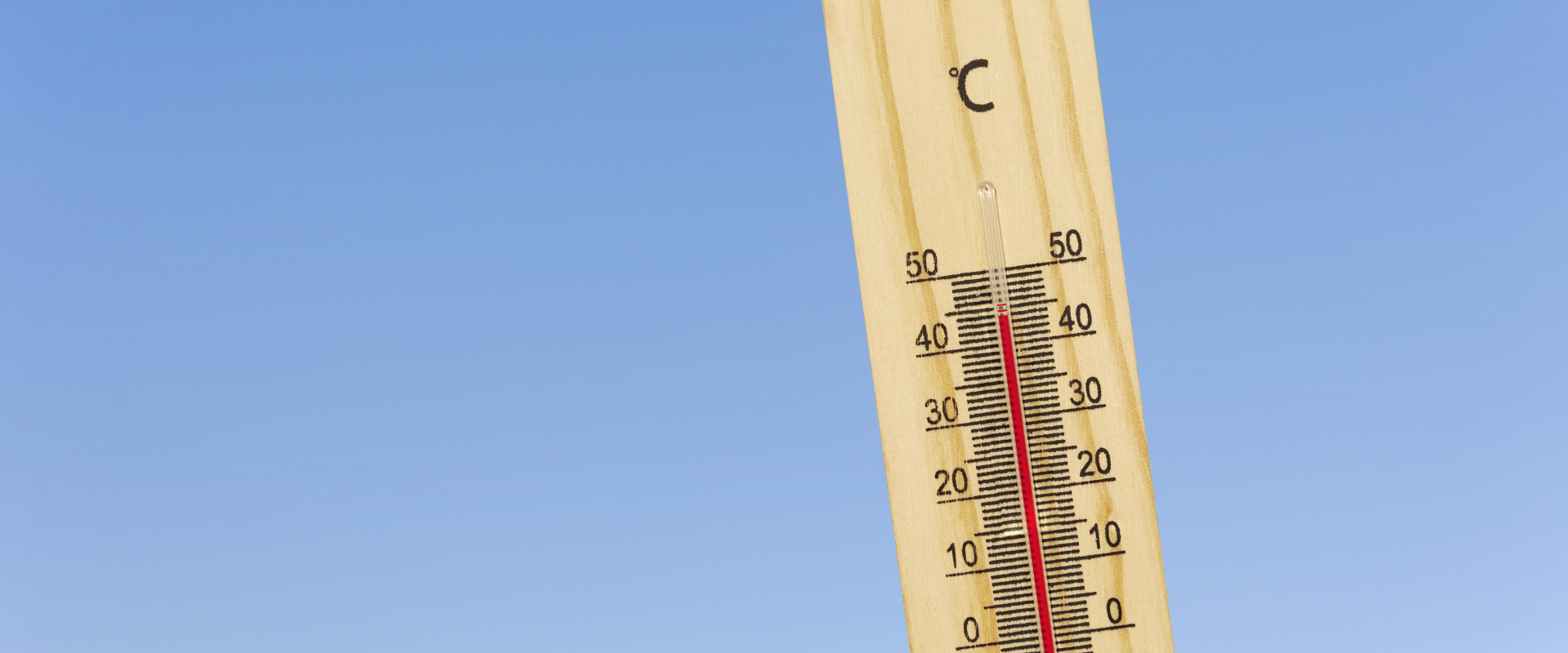 canicule