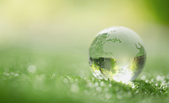 Gros plan, de, cristal, reposer, herbe, dans, a, forêt 