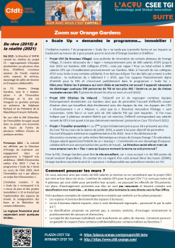 L'ACTU CSEE TGI : scéance du 29-30 avril 2021 (suite)