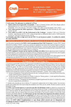 FLASH INFO CFDT CSEE Fonctions Support et Finance des 31 août et 1er septembre 2022