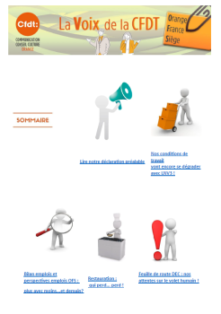 La Voix de la CFDT OFS : N°6