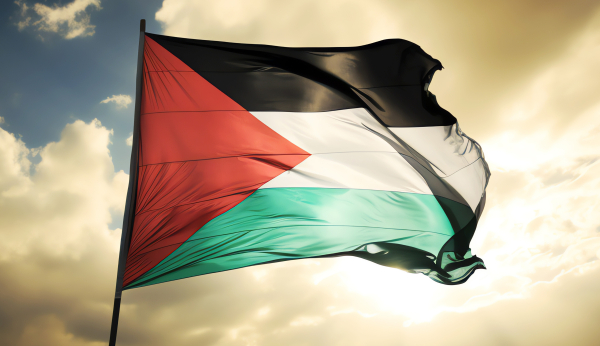 DRAPEAU PALESTINE