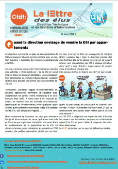 Quand la direction envisage de vendre la DSI par appartements