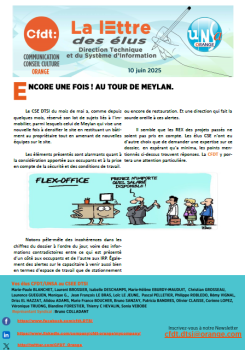 La lettre des élus DTSI – N°25