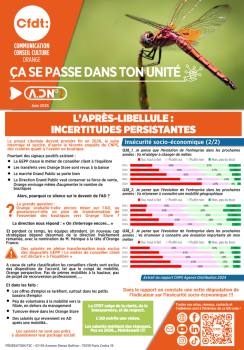 L’APRÈS-LIBELLULE INCERTITUDES PERSISTANTES