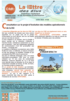 La lettre des élus DTSI – N°28