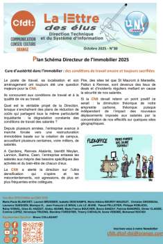 La lettre des élus DTSI – N°31