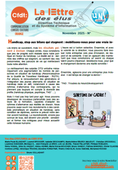 Bilan handicap RQTH La lettre des élus DTSI 