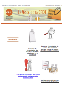 La Voix de la CFDT OFS : N°13