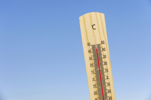 canicule