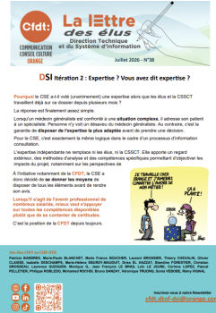 DSI Itération 2 : Expertise ? Vous avez dit expertise ?