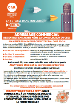 ADRESSAGE COMMERCIAL DES ENTRETIENS AVANT MÊME LA CONSULTATION DU CSEC