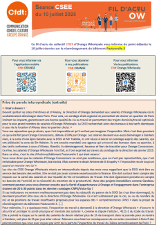 SEANCE CSEE du 10 juillet 2025 - FIL D'ACTU OW 