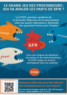 [AFFICHE] LE GRAND JEU DES PROFONDEURS : QUI VA AVALER LES PARTS DE SFR ?