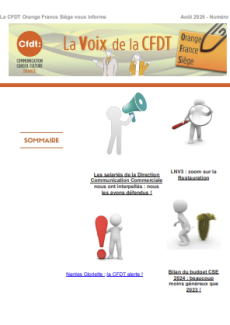 La Voix de la CFDT OFS : N°12