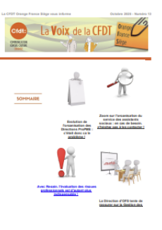 La Voix de la CFDT OFS : N°13