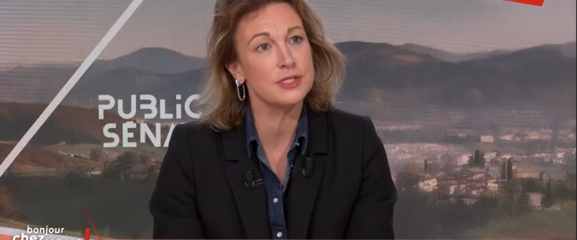 VENDREDI 20 FEVRIER : Marylise LEON, était l'invitée de l'émission "Bonjour chez vous !" sur Public Sénat