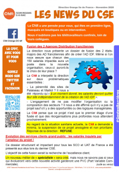 Direction Orange Ile de France –Novembre 2020Les News du CSE