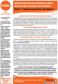 Réorganisaton des services clients grand public en direction Orange : Partie 3 - Quelles perspectives d'évolution ?