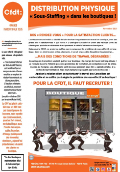 DISTRIBUTION PHYSIQUE - " Sous-Staffing" dans les boutiques !!!