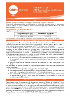 FLASH INFO CFDT CSEE - Fonctions Support et Finance des 11 et 12 mai 2022