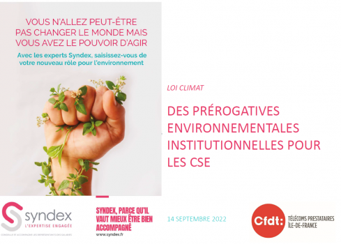 DES PRÉROGATIVES ENVIRONNEMENTALES INSTITUTIONNELLES POUR LES CSE