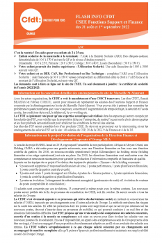 FLASH INFO CFDT CSEE Fonctions Support et Finance des 31 août et 1er septembre 2022