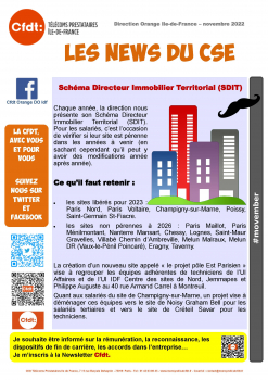 Direction Orange Ile-de-France – Novembre 2022 - Les News du CSE