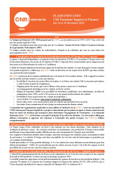 FLASH INFO CFDT CSE Fonctions Support et Finance des 14 et 15 décembre 2022