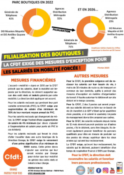 Filialisation des boutiques chez Orange : la CFDT exige des mesures d'exception pour les salariés en mobilité forcée !!!