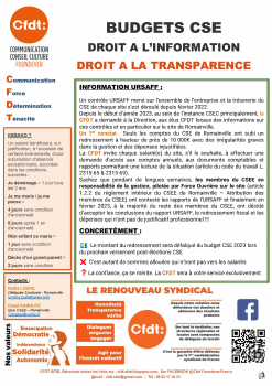 BUDGETS CSE DROIT A L’INFORMATION DROIT A LA TRANSPARENCE