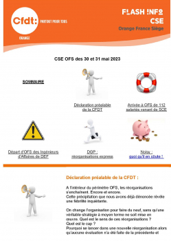 Flash Info CSE OFS des 30 et 31 mai 2023 