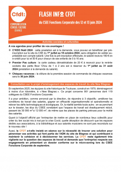 FLASH INFO CFDT CSEE Fonctions Support et Finance du 12 et 13 juin 2024