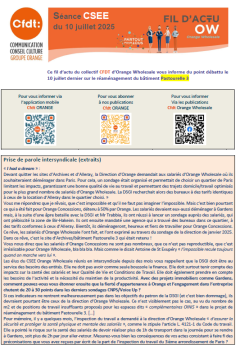 SEANCE CSEE du 10 juillet 2025 - FIL D'ACTU OW 